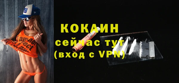 индика Балахна