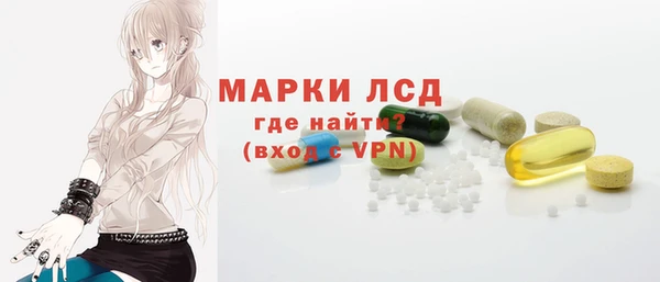 индика Балахна