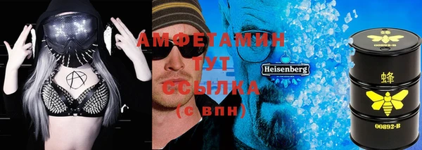 индика Балахна