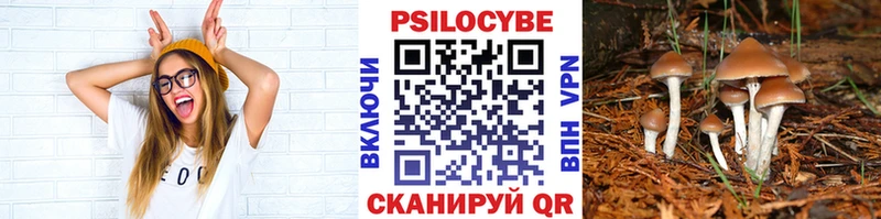 Галлюциногенные грибы мицелий  Шагонар 